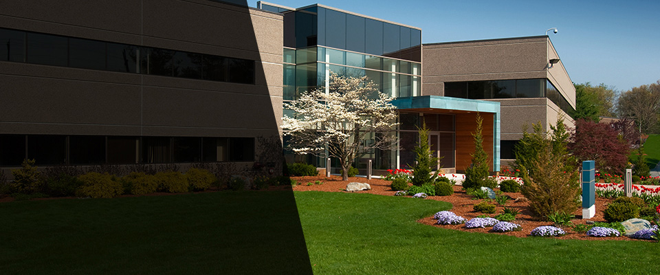 Sabina Landscapers