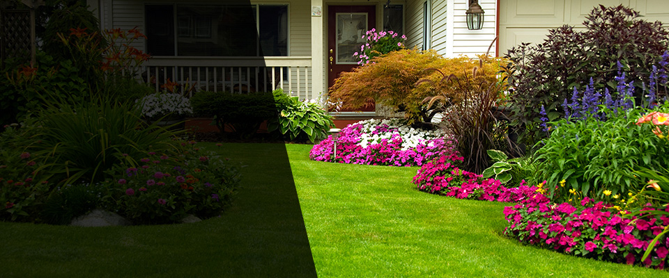 Sabina Landscapers
