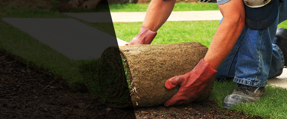 Sabina Landscapers